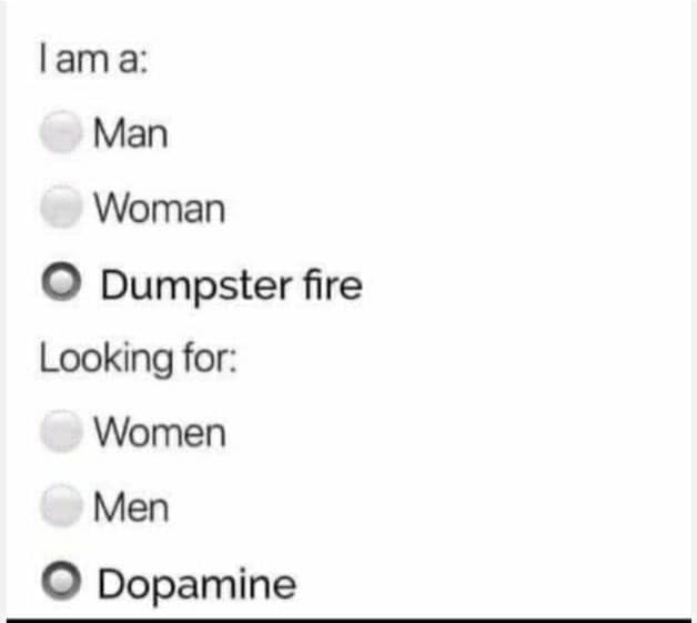 The meme is a humorous take on a classic online dating profile. The text reads: "I am a: [blank] / Looking for: [blank]" - but the first blank is filled with "I am a: dumpster fire" and the second is "looking for: someone to put out the flames".